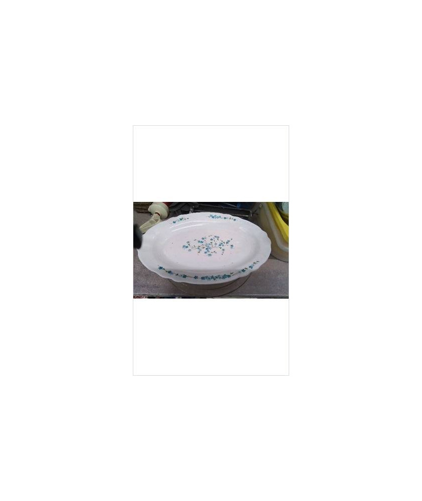 PLAT OVALE ARCOPAL