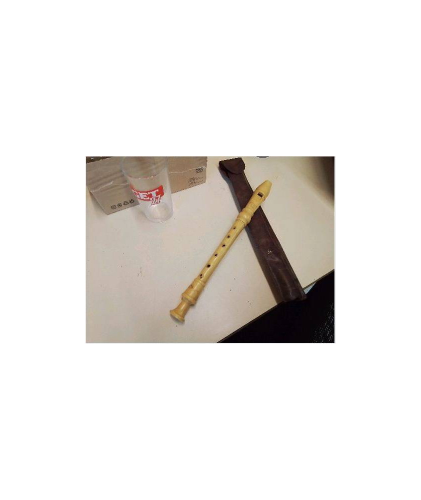 FLUTE DE COLLÈGE