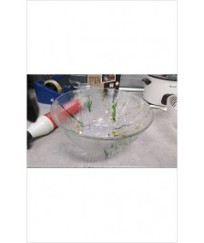 SALADIER VERRE GM 
