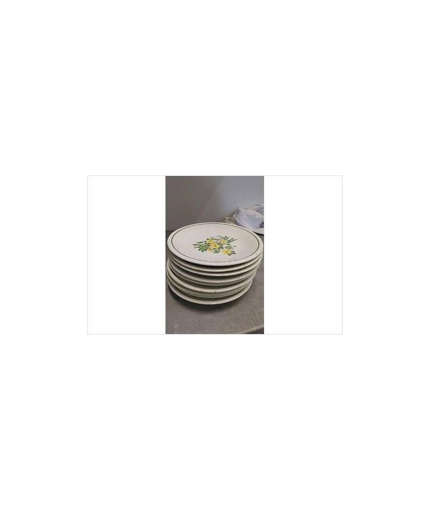 ASSIETTES 