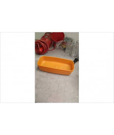 BACS ORANGE PM  X2  