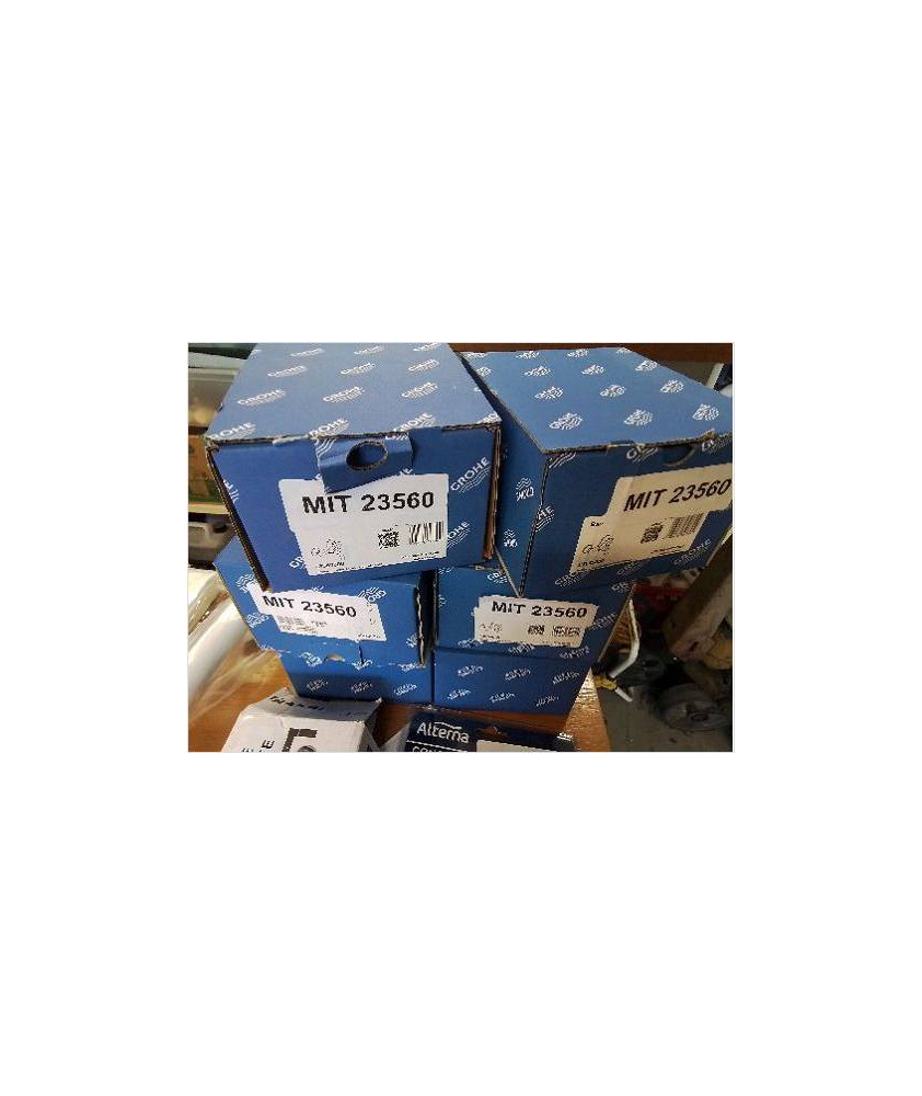 MITIGEUR