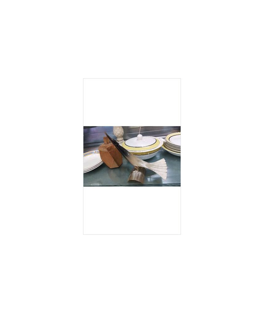 DECO OISEAU CORNE 