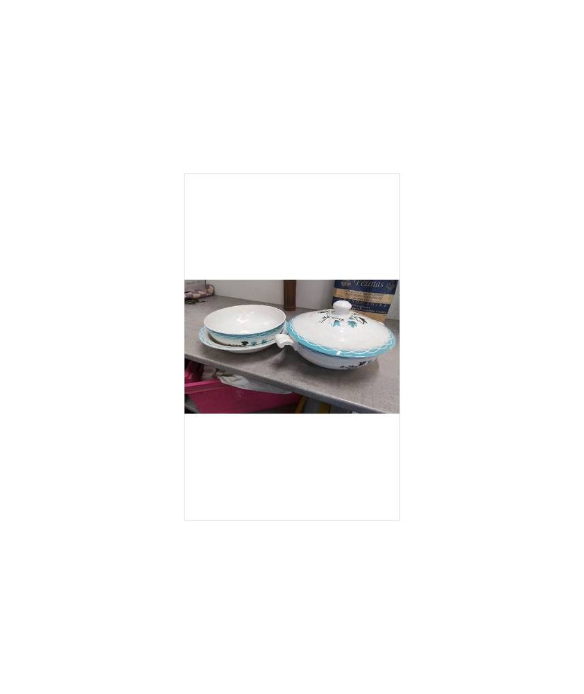PLATS + SOUPIERE SARREGUEMINES MOD. ALBERT