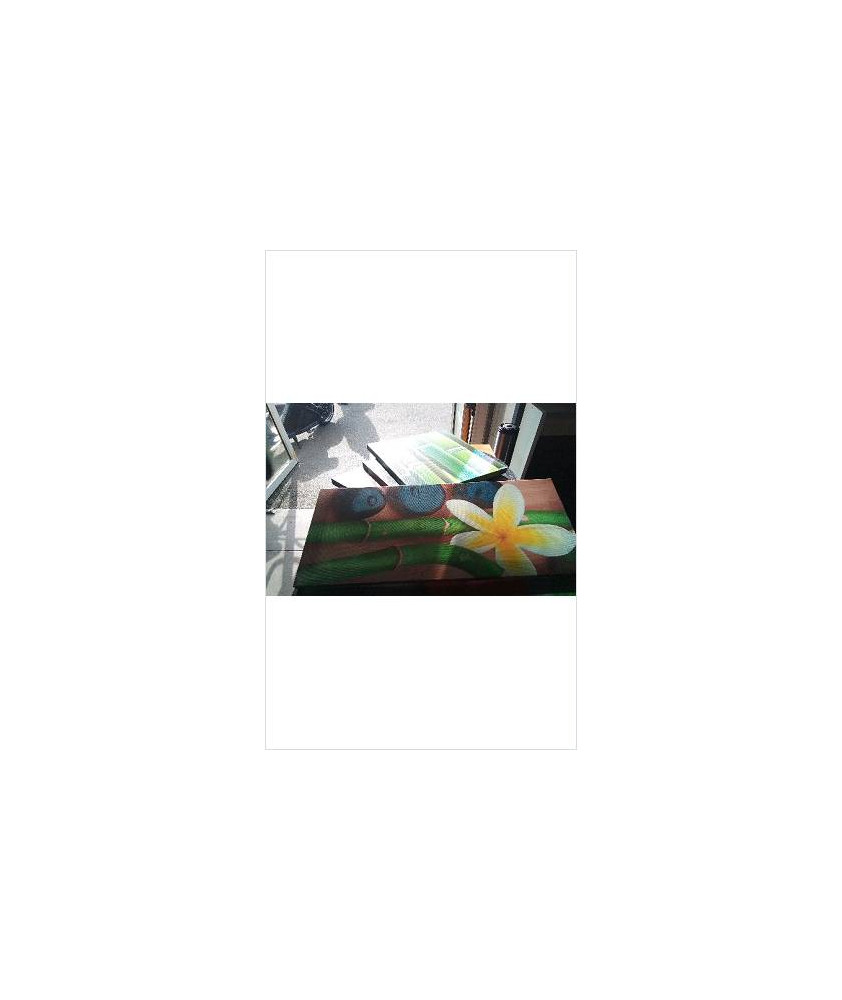 TOILE PM