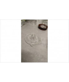 PRESSE AGRUME VERRE 