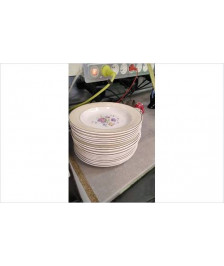 ASSIETTES SALINS 