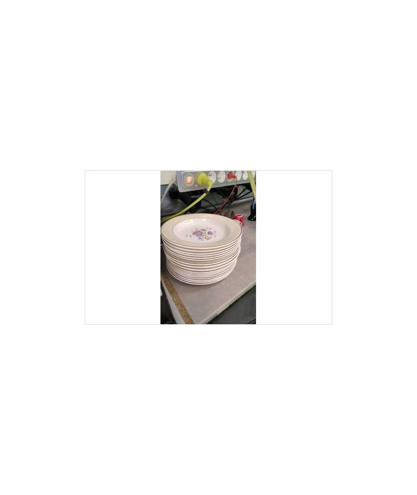 ASSIETTES SALINS 
