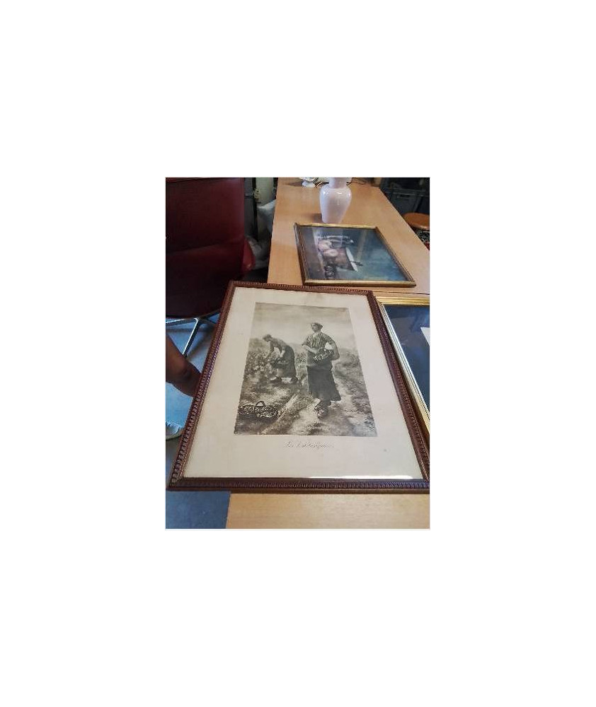 GRAVURE LES VENDANGEUSES 