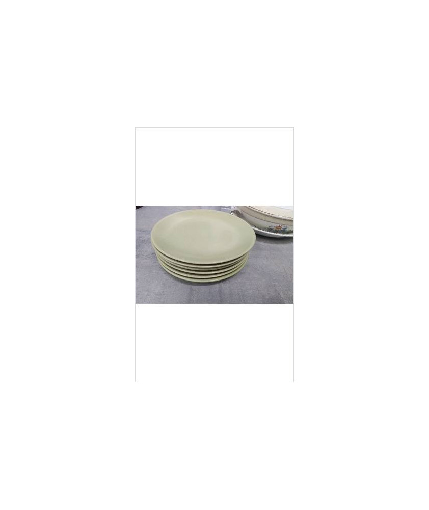 ASSIETTES VERTES 