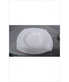 PLAT CREUX BLANC 