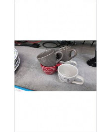 TASSES X5 