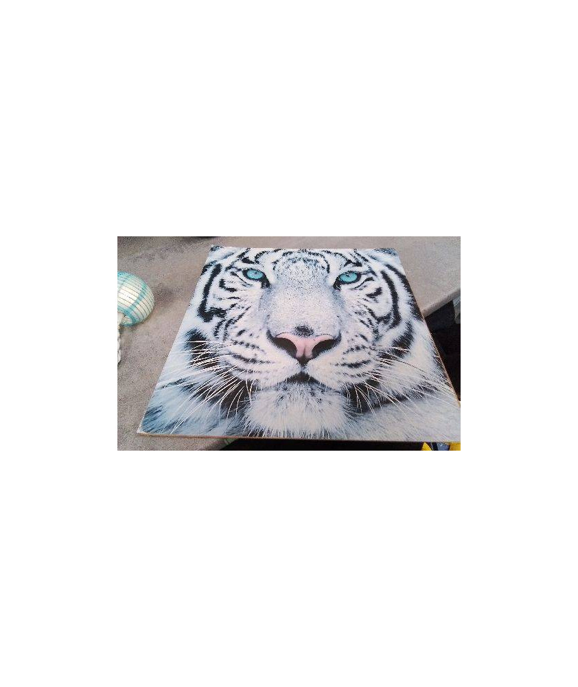 DECO TIGRE