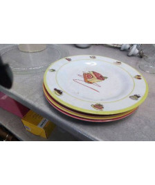 ASSIETTES PLASTIQUES X5  