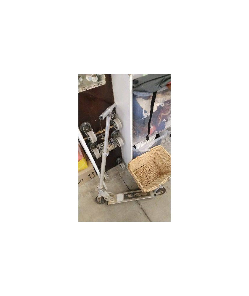 TROTTINETTE EN L’ÉTAT 