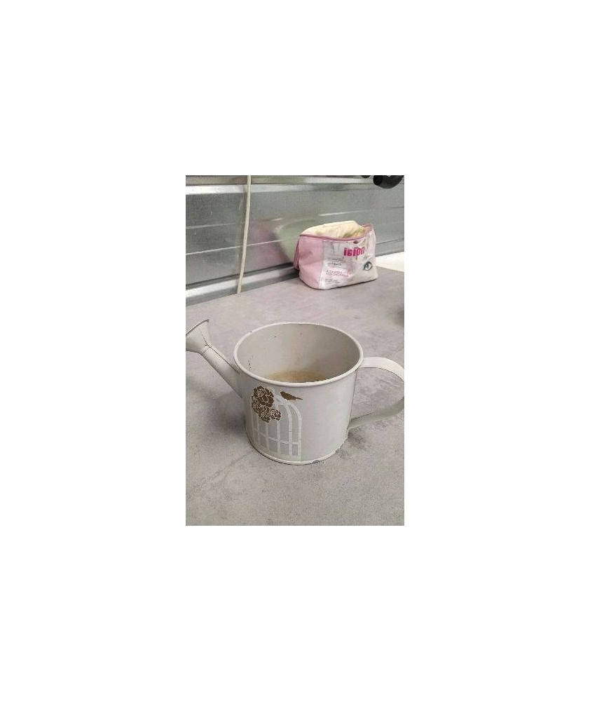 ARROSOIR DECO FER 