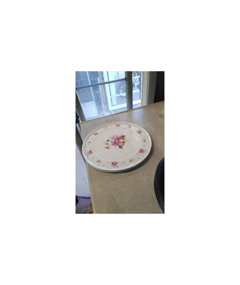 ASSIETTE PLASTIQUE X2