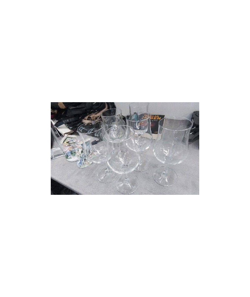 VERRE DEGUSTATION X6