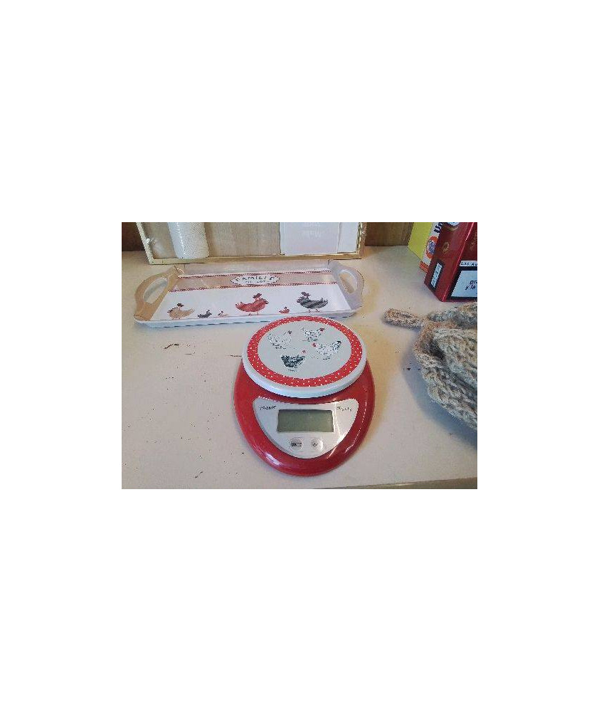 PETITE BALANCE POULE 