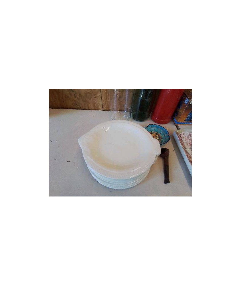 LOT DE 9 ASSIETTES POISSON 