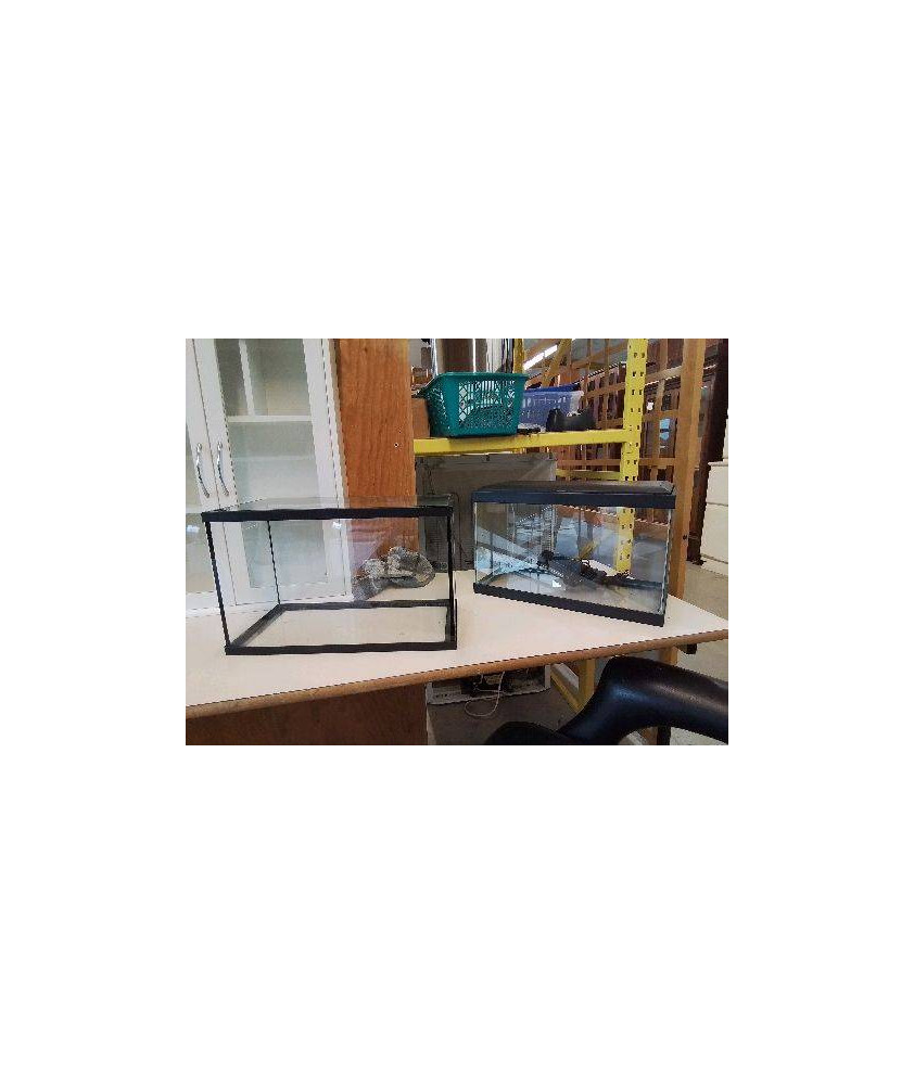 PETIT AQUARIUM