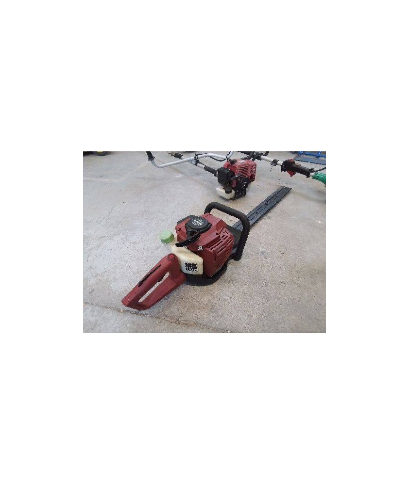 TAILLE HAIES THERMIQUE EINHELL