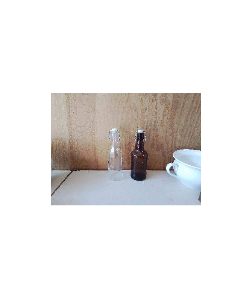 BOUTEILLE EN VERRE 