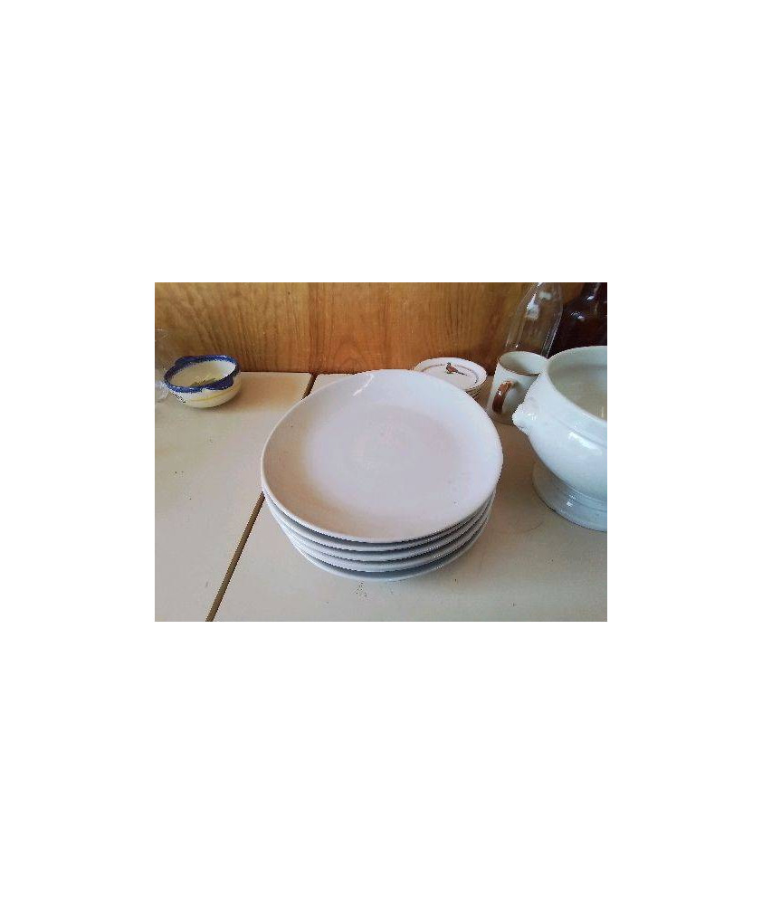 LOT DE 6 ASSIETTES BLANCHES 