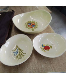 ENSEMBLE DE PLATS SALINS