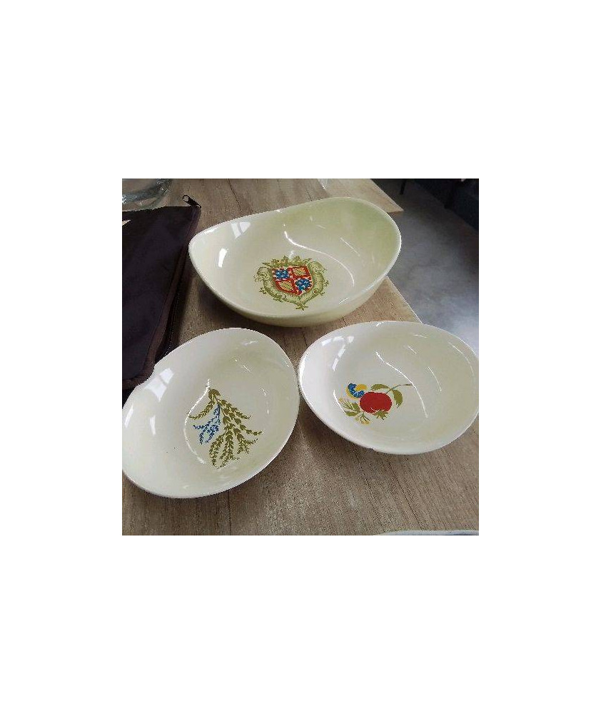 ENSEMBLE DE PLATS SALINS
