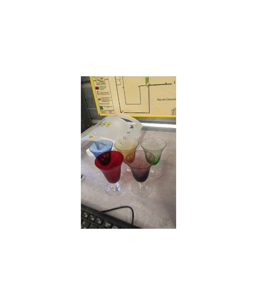 VERRE A LIQUEUR COULEUR LE LOT