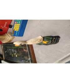 DECO CANARD FONTE PM 