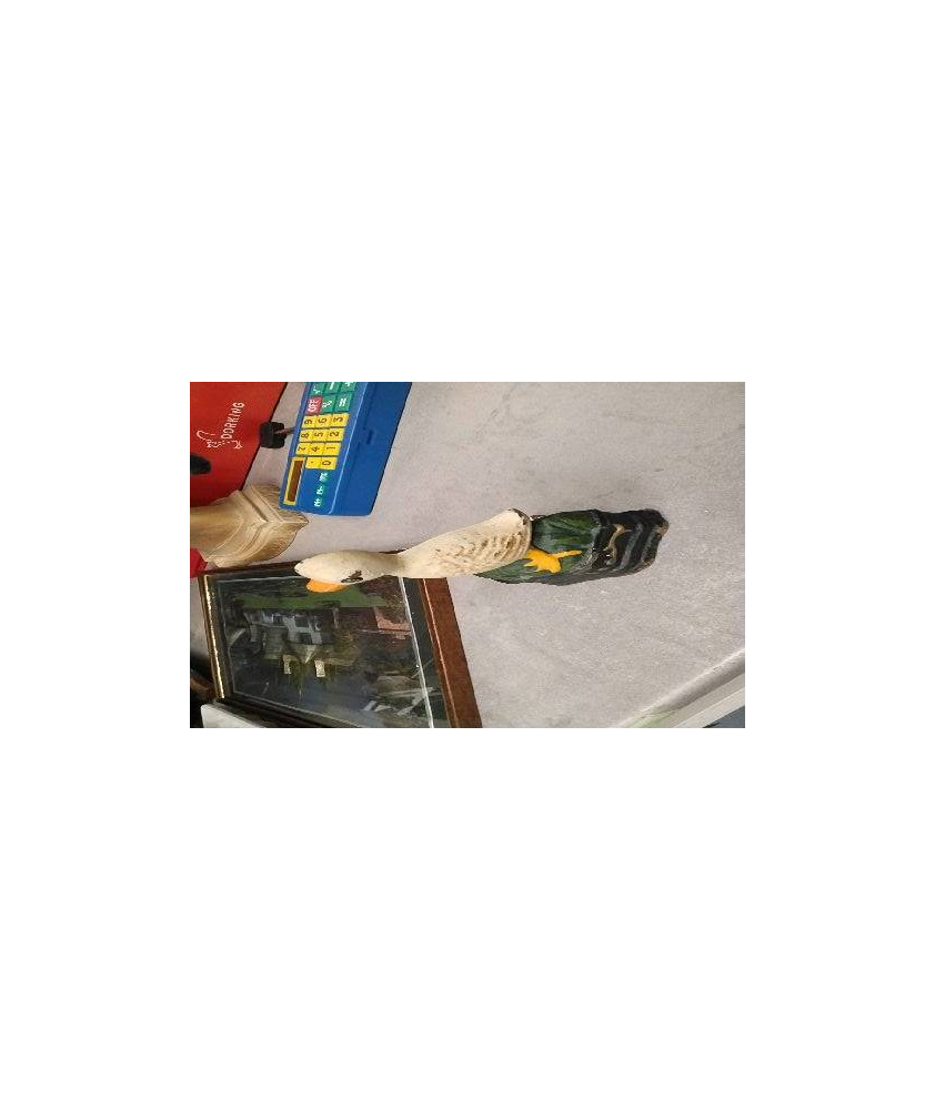 DECO CANARD FONTE PM 