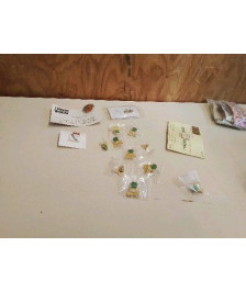 PINS