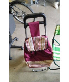 CHARIOT DE MARCHE 