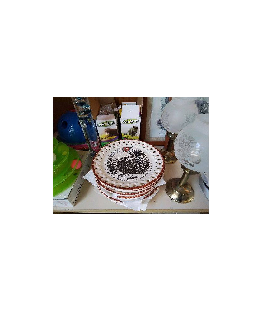 ASSIETTE ANCIEN CALENDRIER 