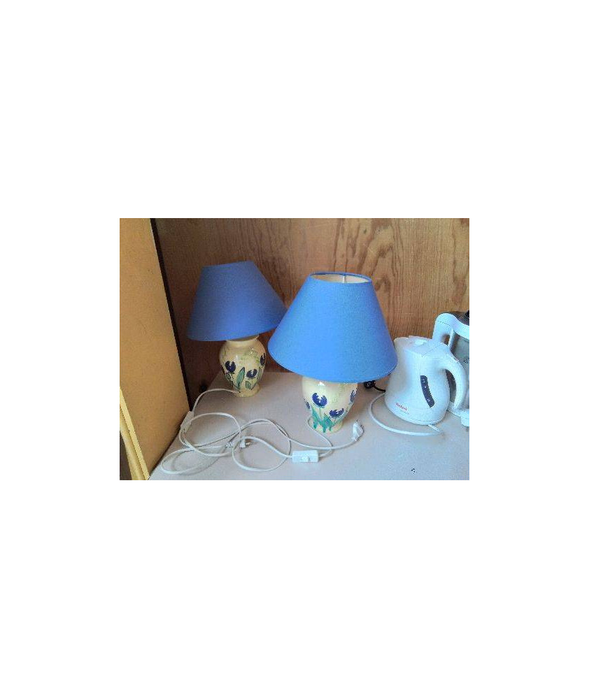 LAMPE MOTIF FLEUR BLEU 