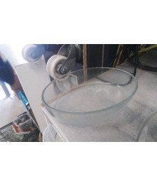 PLAT OVALE VERRE