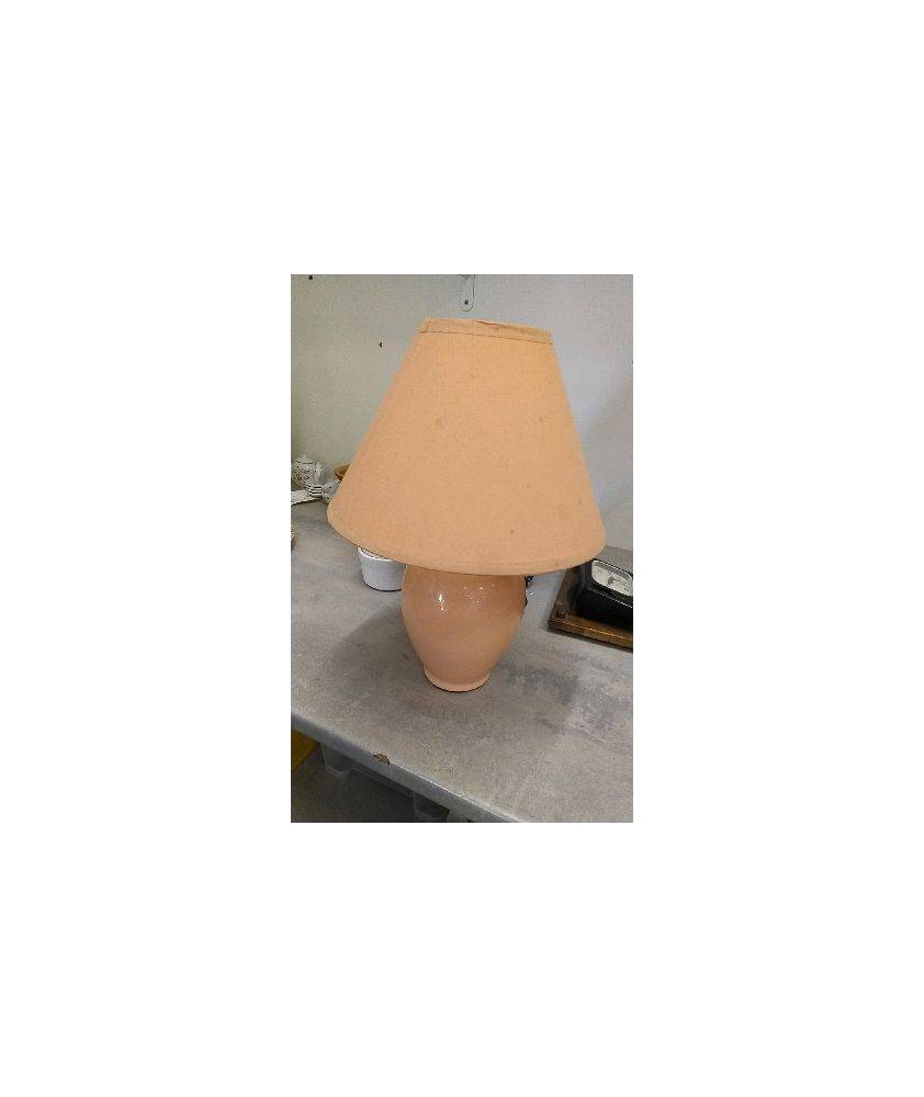 LAMPE SAUMON PM 