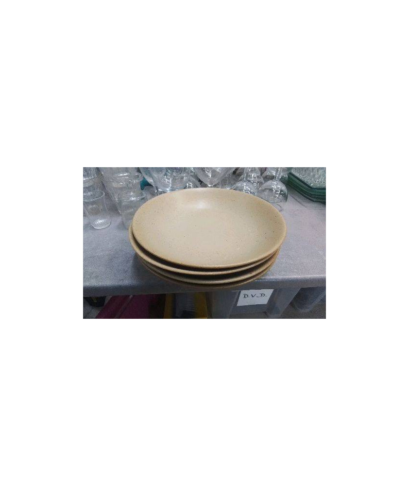 ASSIETTES CREUSES GRES X4 