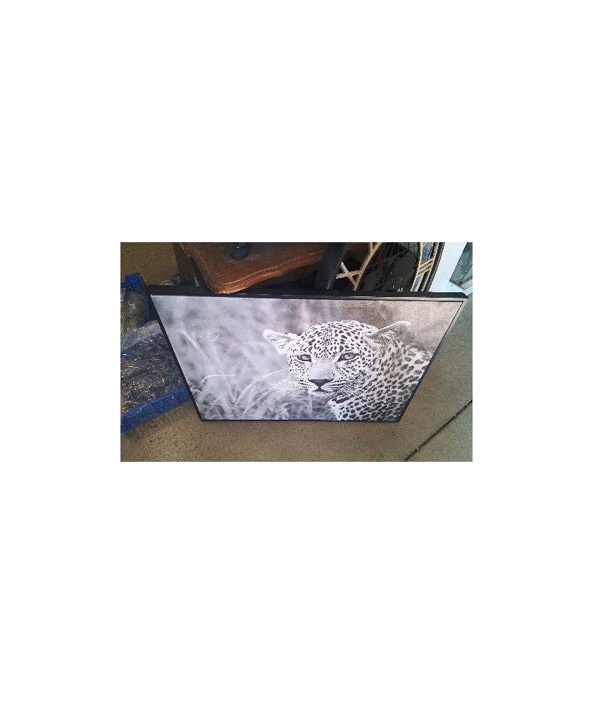 TOILE PANTHERE 