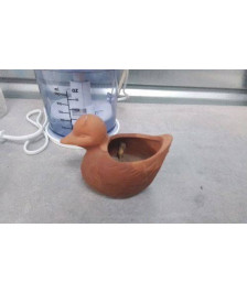 POT CANARD EN TERRE PM 