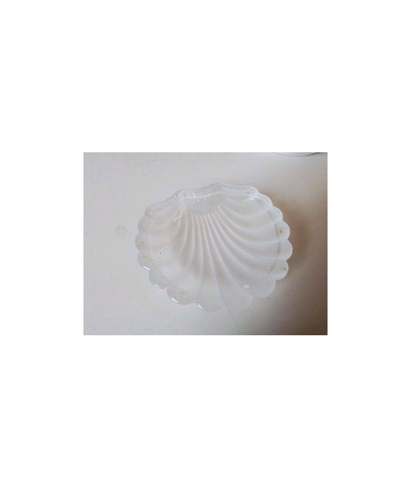 VIDE POCHE COQUILLE SAINT JACQUES 