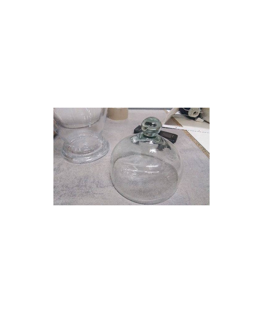 CLOCHE VERRE 