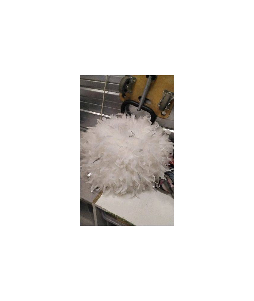 DECO BOULE PLUMES 