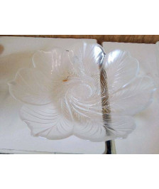PLAT EN VERRE