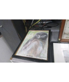 CADRE DESSIN CHOUETTE 