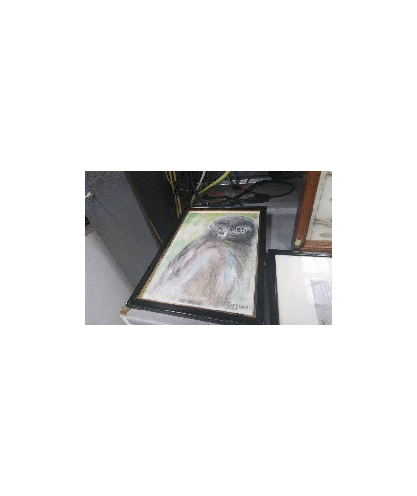 CADRE DESSIN CHOUETTE 