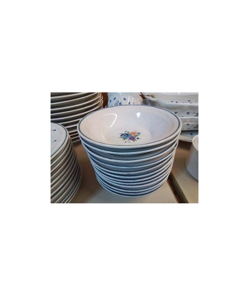 LOT DE 12 ASSIETTES CREUSES 