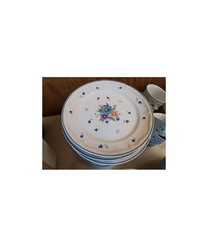LOT DE 6 ASSIETTES PLATES 
